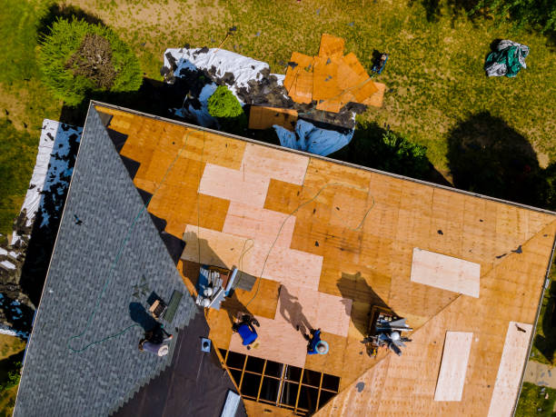 Best Storm Damage Roof Repair  in Franklin, LA