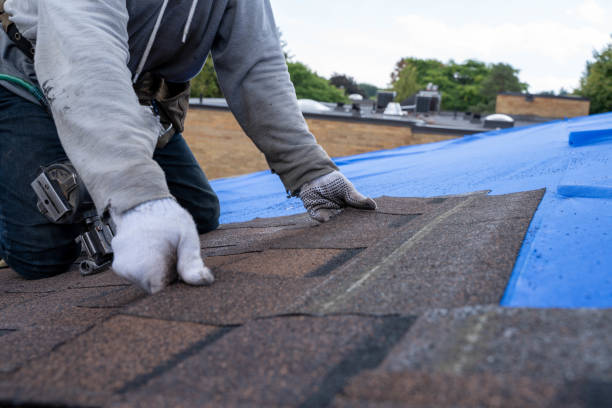 Best Residential Roofing Contractor  in Franklin, LA